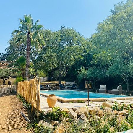 Saint-Vincent-de-Barbeyrargues Magnifique Villa Typique Du Sud Avec Piscine Privee Et Jardin Mediterraneen מראה חיצוני תמונה