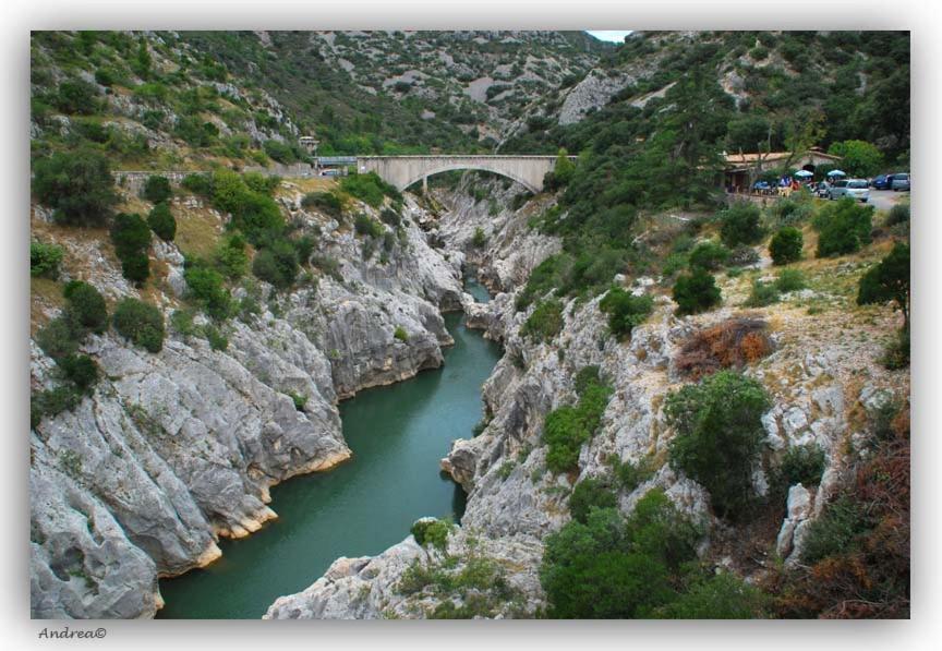 Saint-Vincent-de-Barbeyrargues Magnifique Villa Typique Du Sud Avec Piscine Privee Et Jardin Mediterraneen מראה חיצוני תמונה