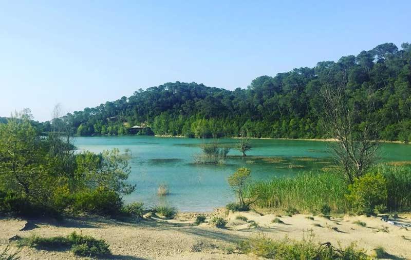 Saint-Vincent-de-Barbeyrargues Magnifique Villa Typique Du Sud Avec Piscine Privee Et Jardin Mediterraneen מראה חיצוני תמונה